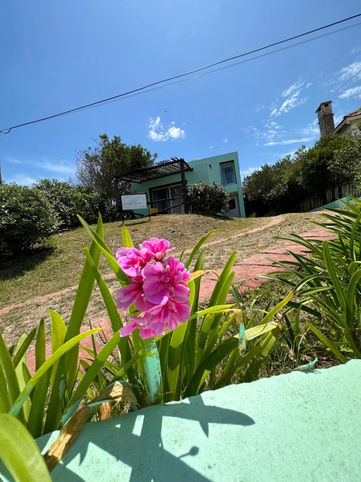 Hotel Beach La Barra Punta del Este Eksteriør bilde